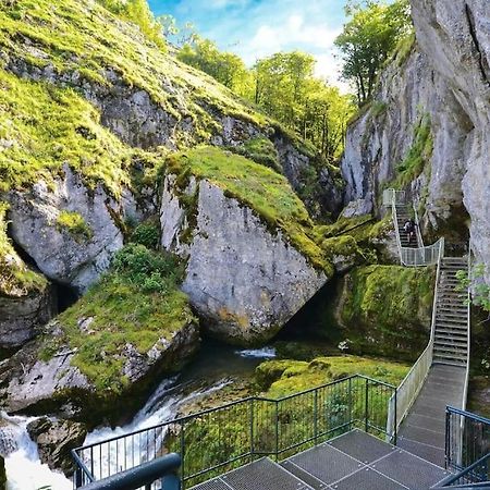 Maison Renovee Au Coeur Du Haut-Jura Entre-Deux-Monts 外观 照片